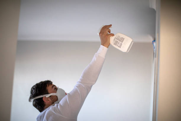 Best Mold Remediation  in Royston, GA