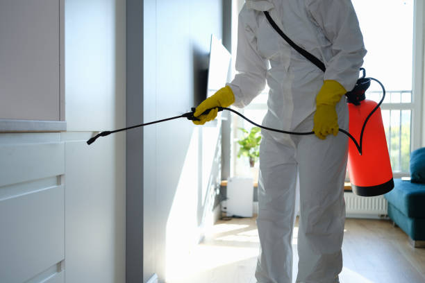 Best Emergency Mold Removal  in Royston, GA