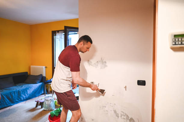 Best Commercial Mold Removal  in Royston, GA